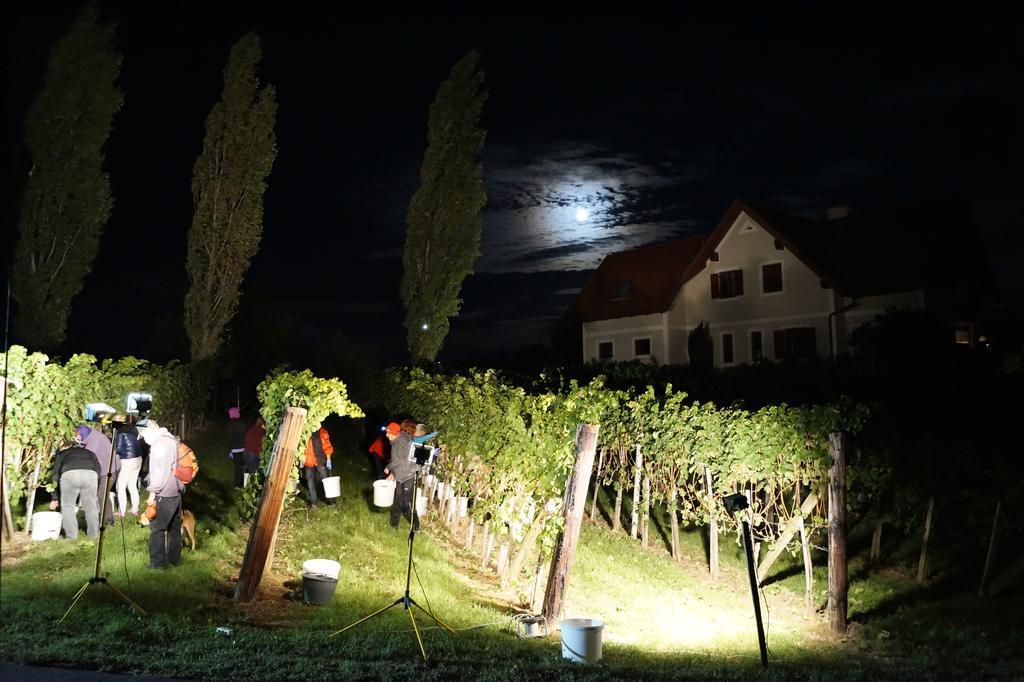 Апартаменты Winzerhof Familie Kloeckl Клёх Экстерьер фото