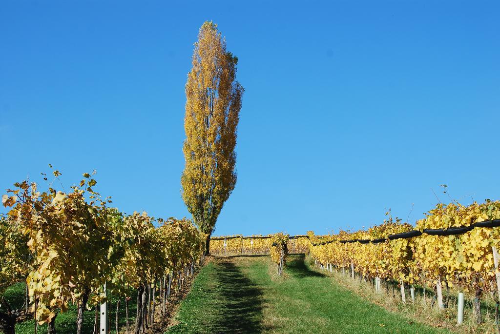 Апартаменты Winzerhof Familie Kloeckl Клёх Экстерьер фото