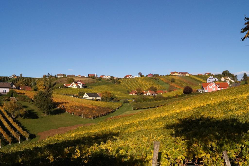 Апартаменты Winzerhof Familie Kloeckl Клёх Экстерьер фото