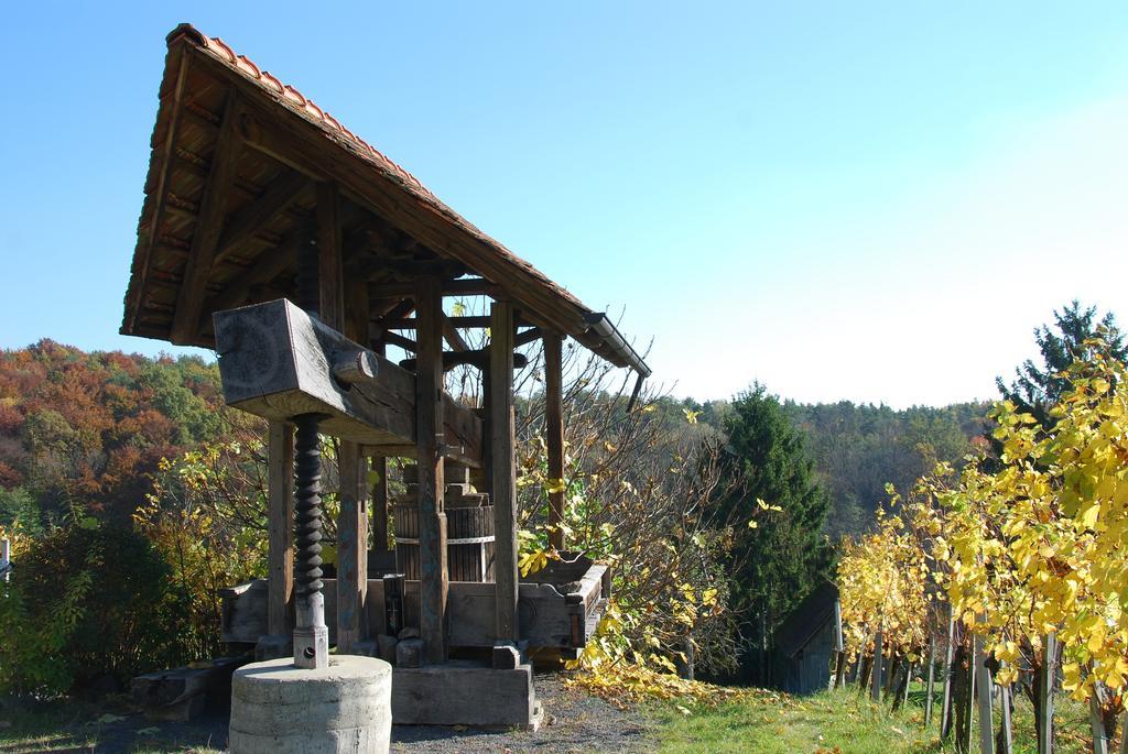 Апартаменты Winzerhof Familie Kloeckl Клёх Экстерьер фото